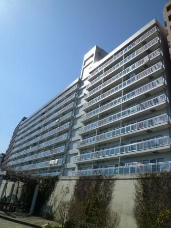 �p�V�t�B�b�N�l��