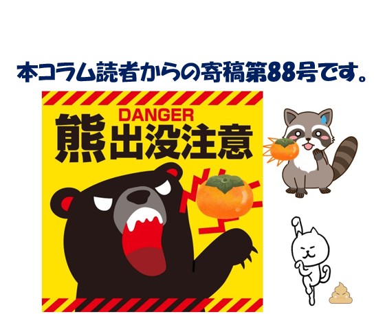 【寄稿№88】　熊、再来！